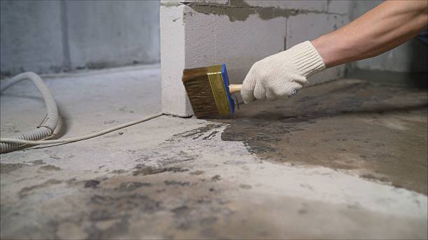 Top rated local Vapor Barrier Installation specialists in Guild, TN